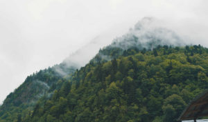 První pohledy na hory